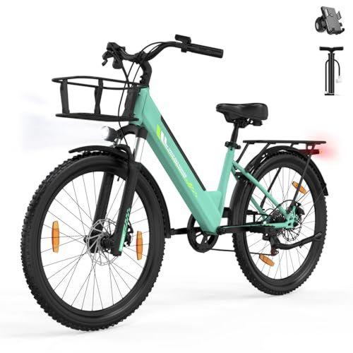 Runetic E-Bike 26 Zoll 7 Gang Pedelec 250 W 36V 13Ah Grau grun